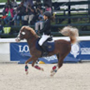 Meet your Posher, Bianca